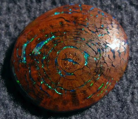 Opalized wood with visible growth rings