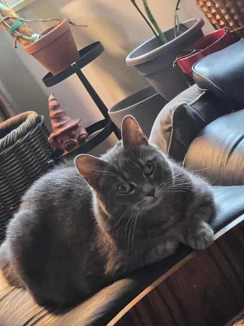 Update on my not new daughter, yes her eyes are still just like that.