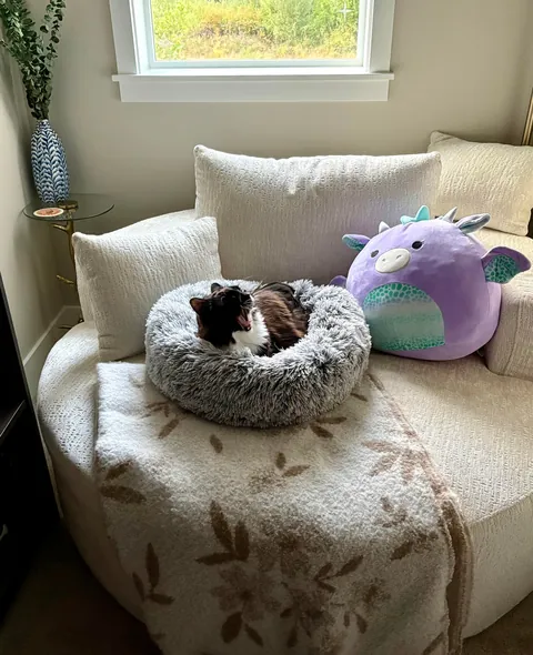 Had to say goodbye to my best friend