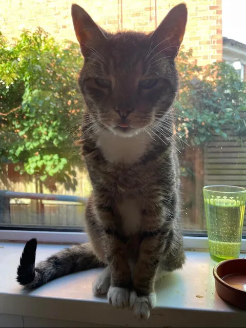 Tribute to my good mate Timmy. 19 years old, and today was his last.