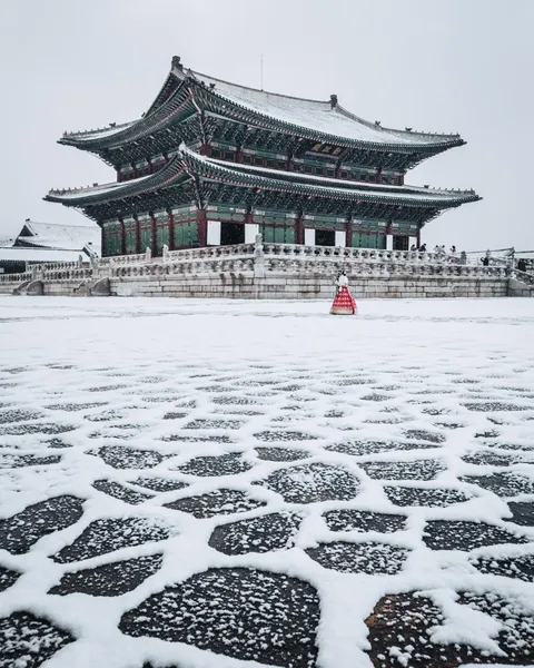 Recently moved to Seoul, South Korea. I've lived in Texas my whole life and was so glad I saw the royal palace on a snow day.