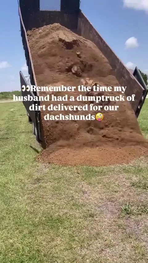 All those weiners making memories