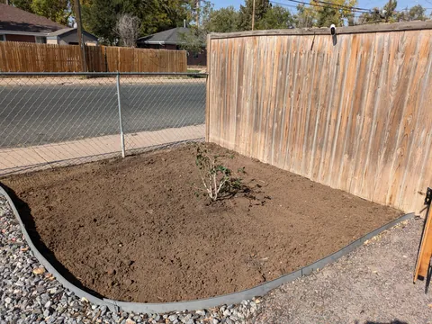 Bought a house last February with the most awful soil I've ever seen. Heavy clay that turns into little concrete. Not a single living plant in the entire yard. Wood chips and rocks everywhere. I'm disabled so I can only do a little at a time but after 1 yr my mental health is 100 times better.