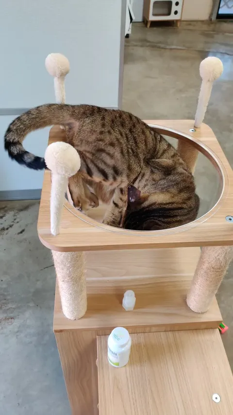 This went on for well over 20 minutes