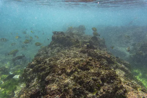 Kiritimati (Christmas) Island, Kiribati