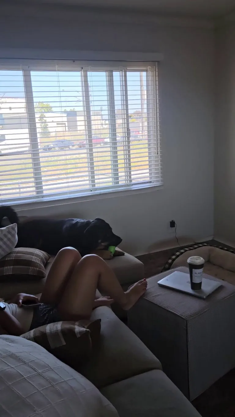 My dog learning manners from Caesar Milan through Bones