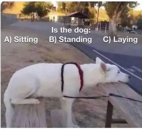 Answer this question correctly?