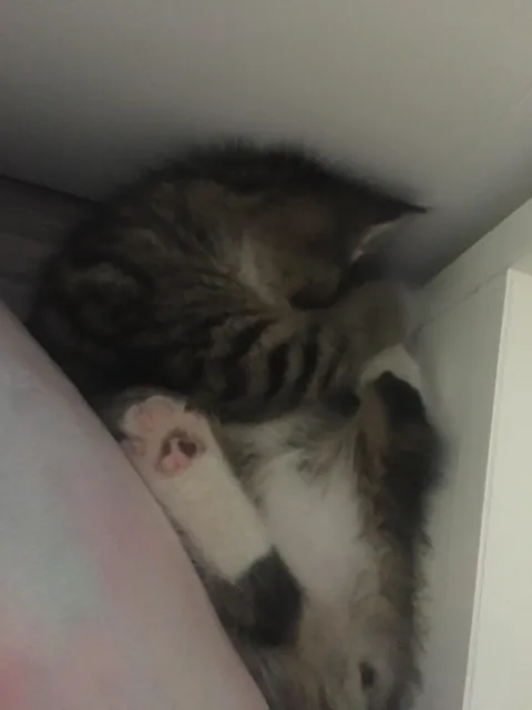 I’m 15, my 17 year old sister just died.