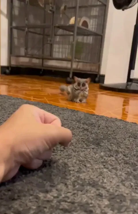 What you got there? 👊