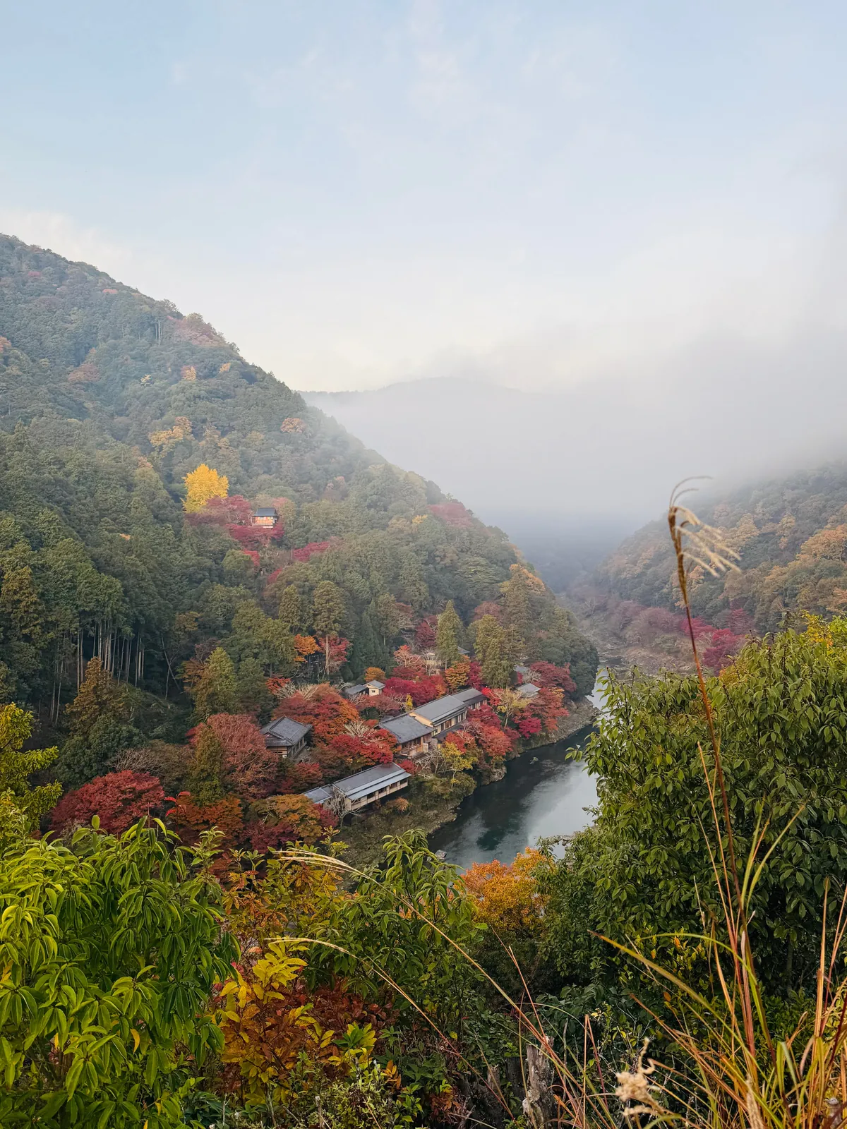 Japan in fall 🍁⛩️🚴‍♀️