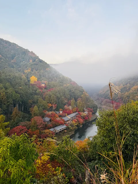 Japan in fall 🍁⛩️🚴‍♀️
