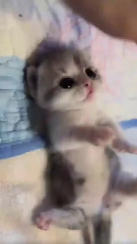 Here's your daily dose of serotonin.