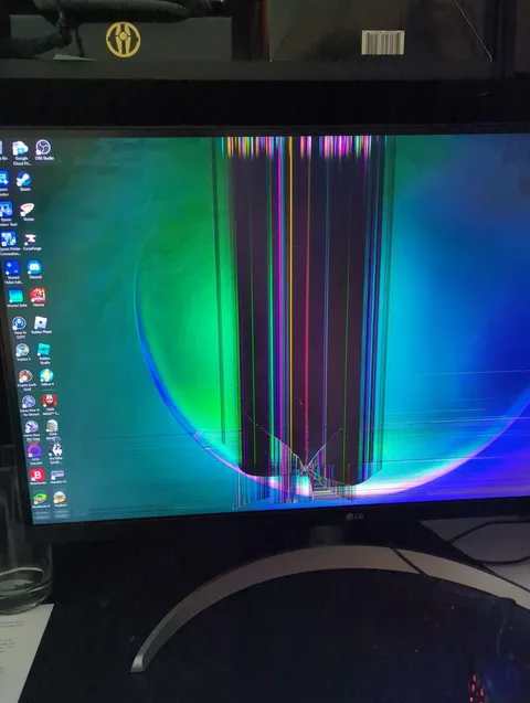 Son destroyed monitor after one day