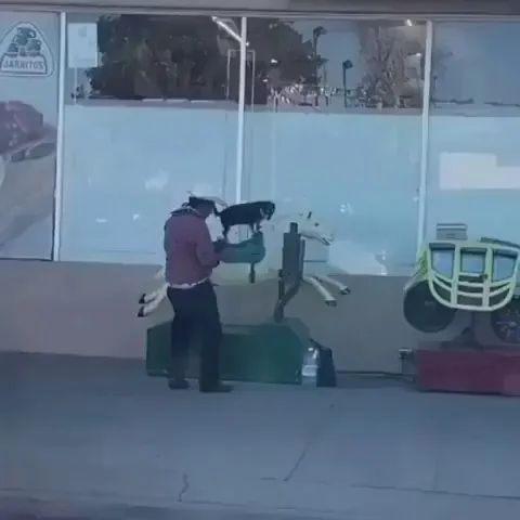 He's soo happy. Look at his tail wag.