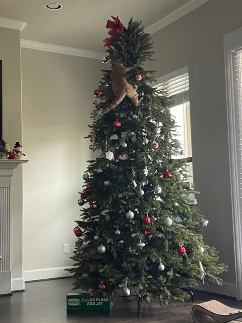 It’s that time of the year again