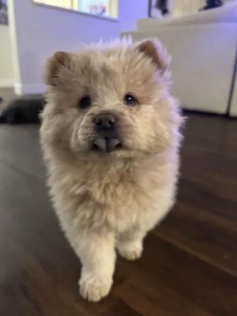 Zoey 1 Year Ago to Now