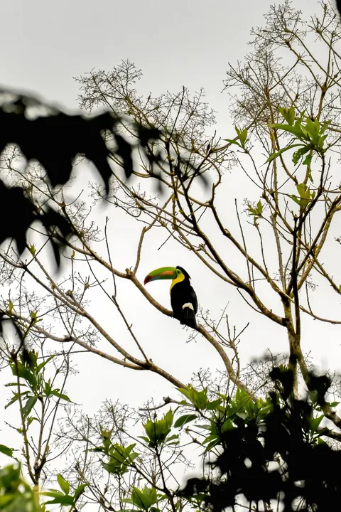 A little slice of pura Vida 📍 Costa Rica