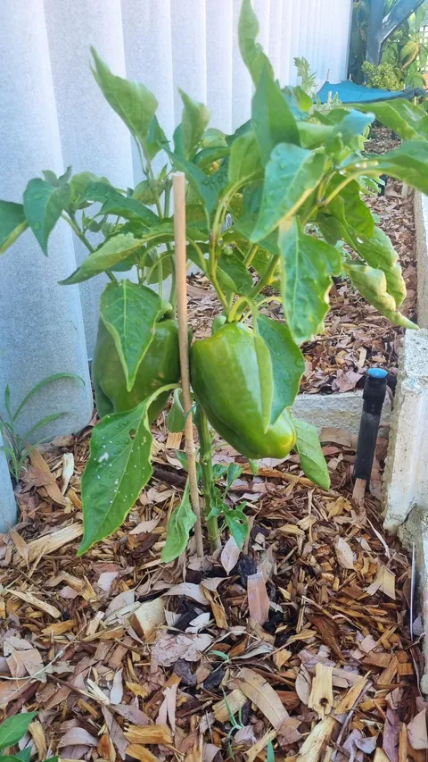 How it started vs how it's going