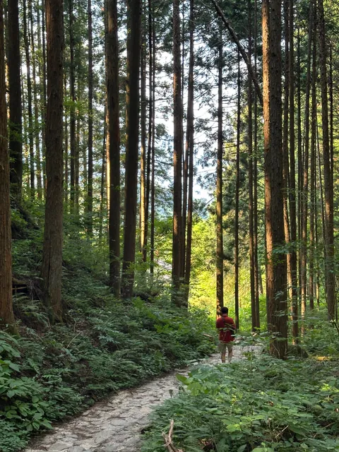 Japan: Nakasendo Trail between Magome and Tsumago