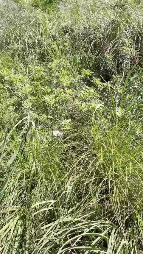 Wanted someone to catch the view