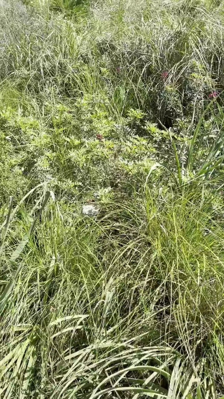 Wanted someone to catch the view