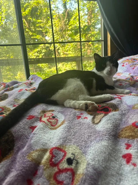 she was my best friend for 16 years…