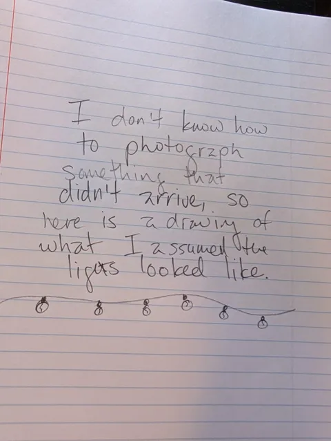 Photograph required for missing item