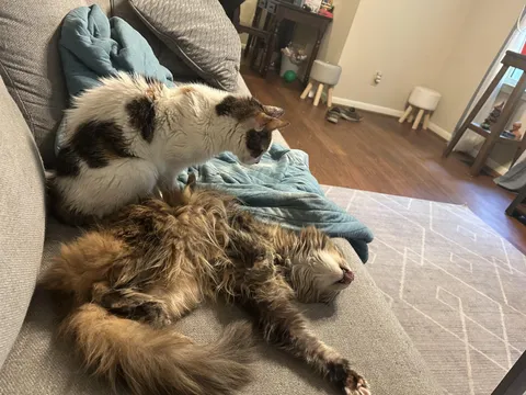 There’s been a murder.