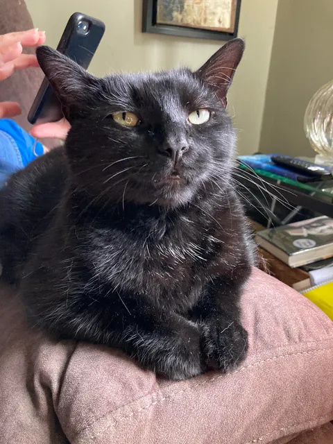 It’s taken me a while to make this post, but here is my sweet man Benjamin <3