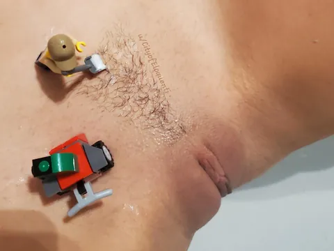 Seasonal maintenance services (f)