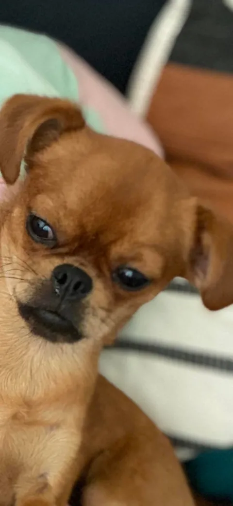 Folks call him DA BOY round these parts, his legal name is Mo