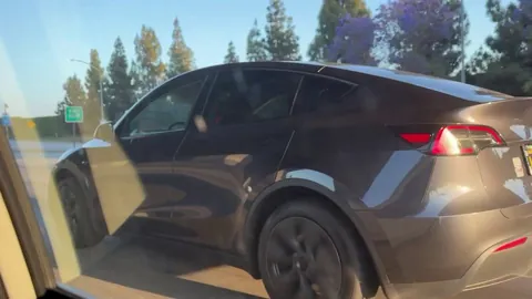 [oc] A Lady Fully Asleep Behind the Wheel on the 405.