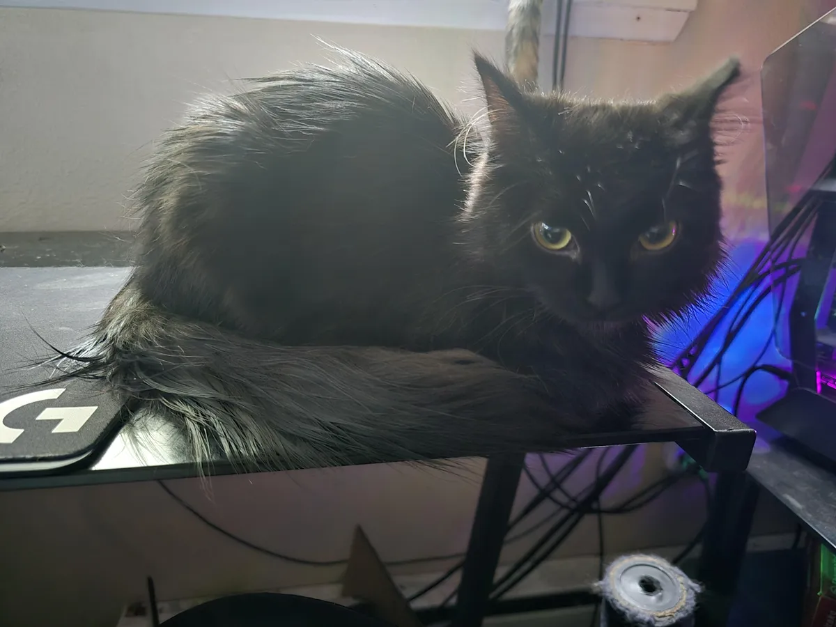 People moved out and left her behind