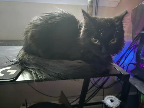 People moved out and left her behind