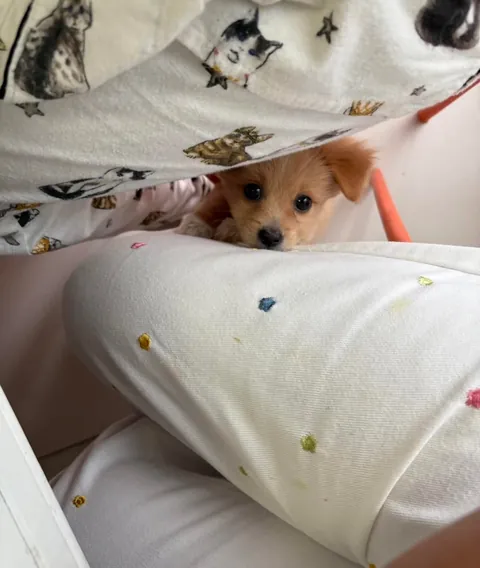 Mom, can I eat grass?🥰