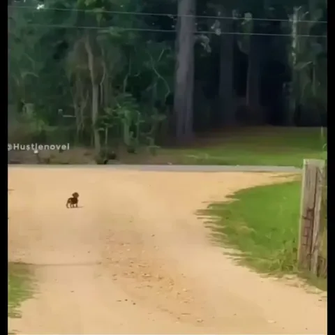 A baby waiting for a baby