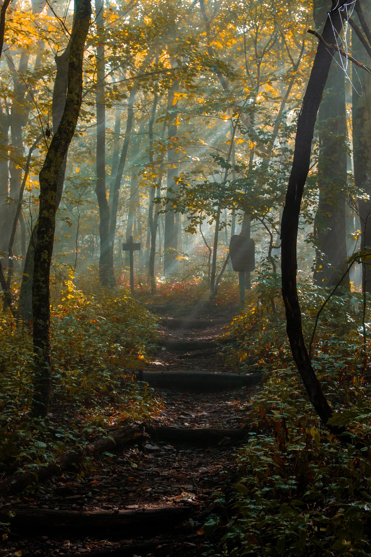 ITAP of the Appalachian Trail