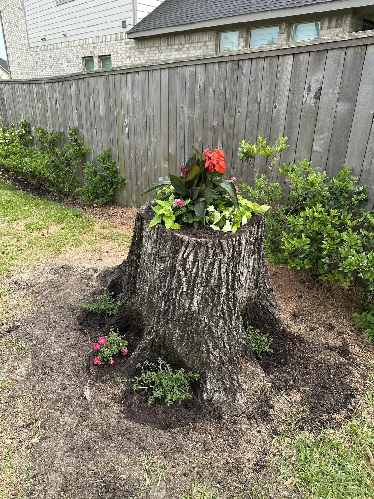 10/10 would not recommend doing a stump planter