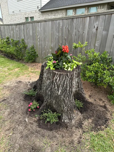 10/10 would not recommend doing a stump planter
