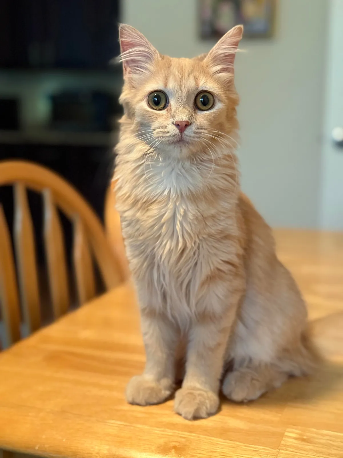 My sweet little lady