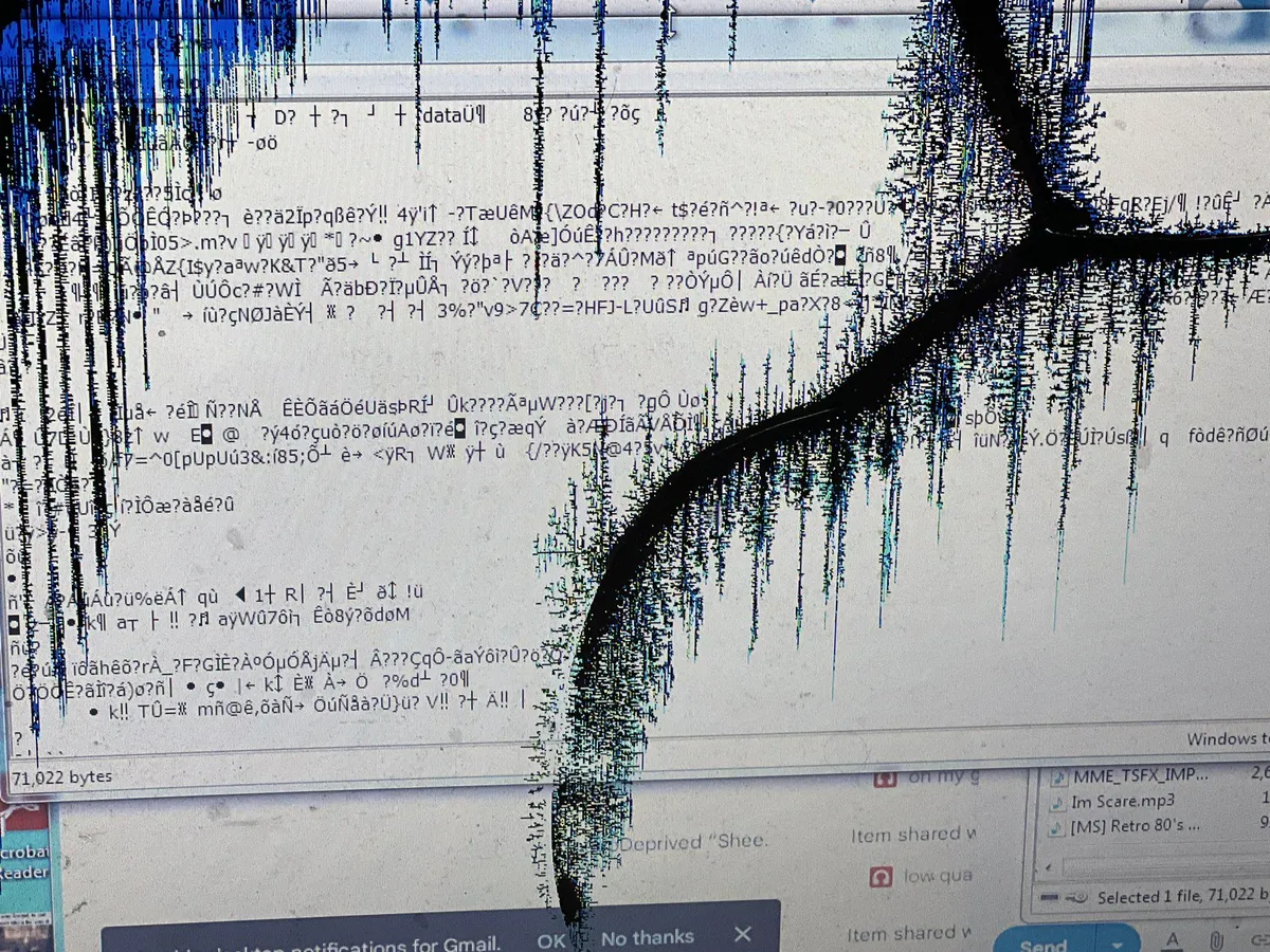 The laptop is hunted by a eldritch ghost