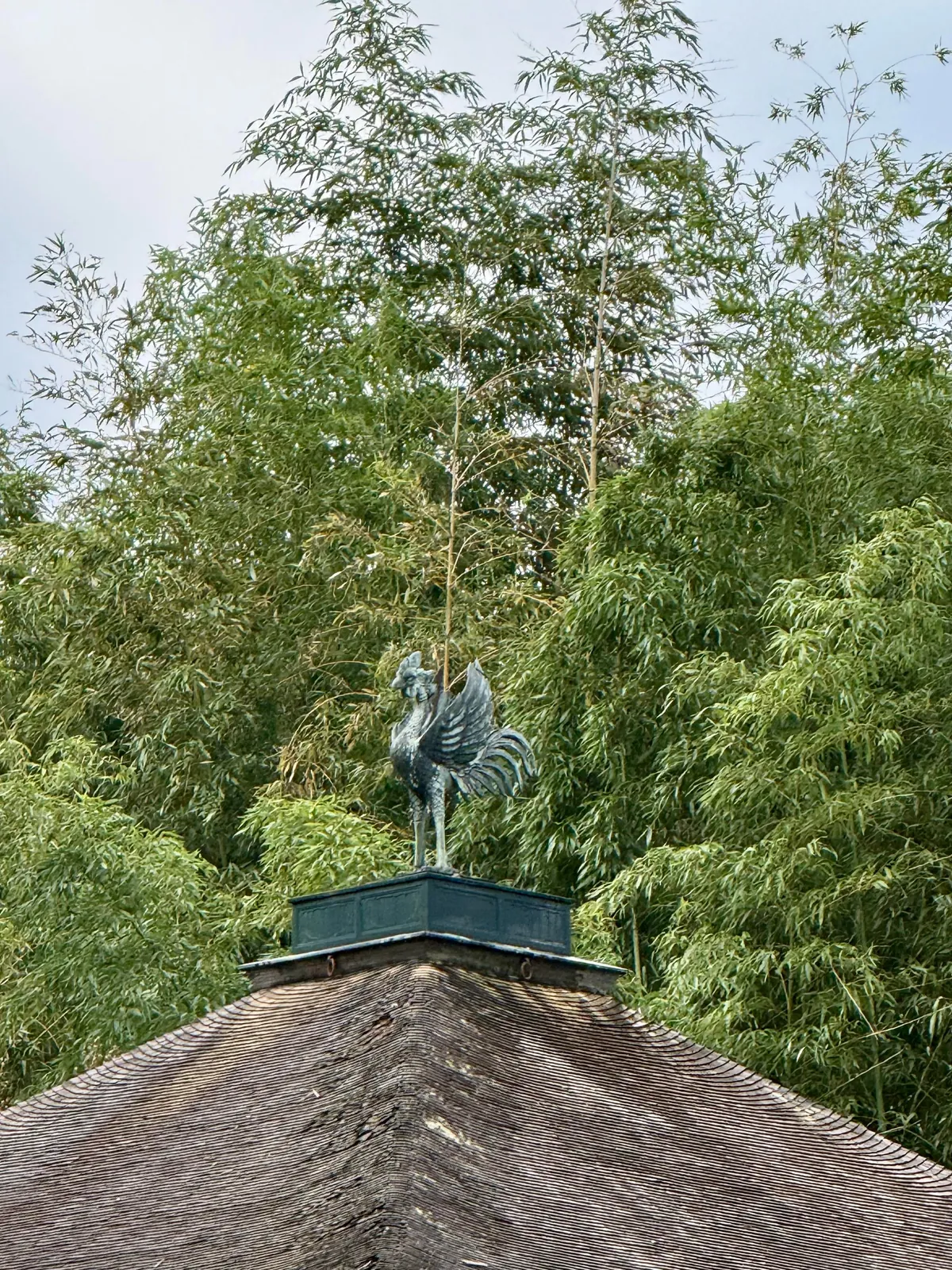 You don’t need 20,000 steps a day or every hyped-up restaurant to enjoy Japan