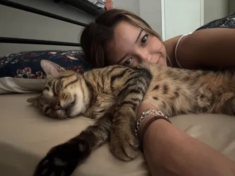 hey google how do i tell my boss i cant come into work because my cat is being too cute?