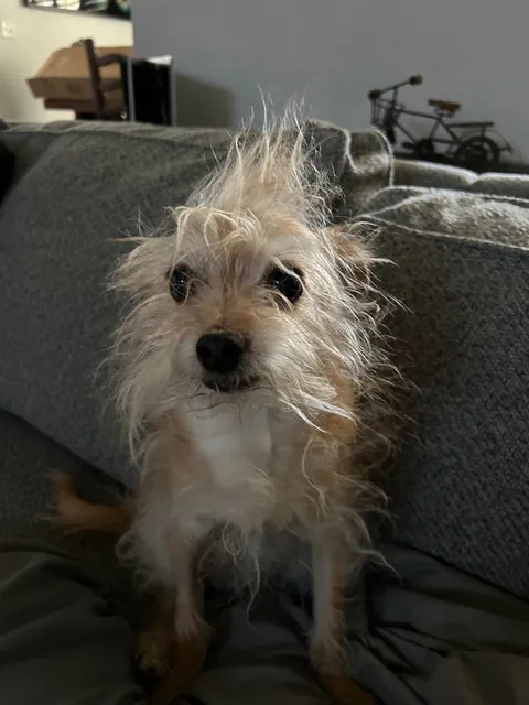 Evan! The most special little guy