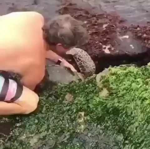 This guy Rescuing a Sea Turtle that got itself wedged in the rocks by the shore