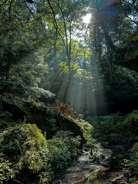 Turkey Run State Park, Indiana [2625x3500] [OC]
