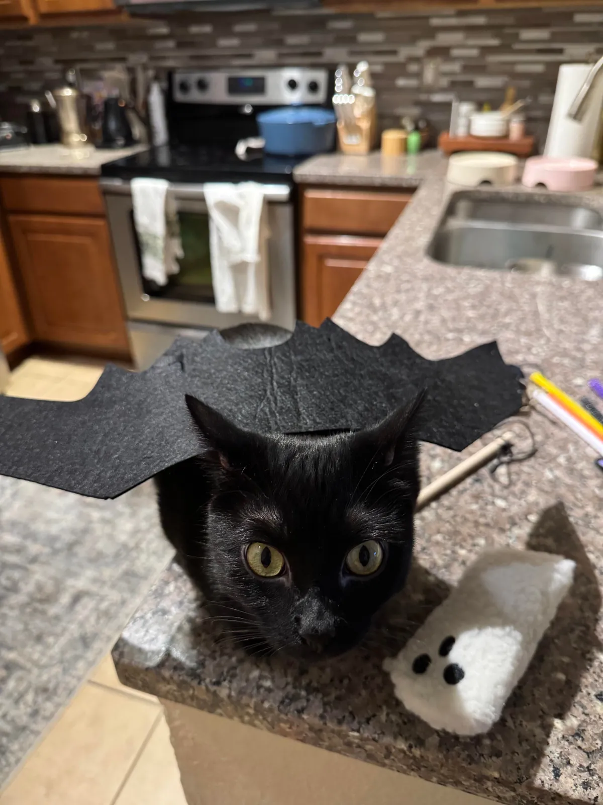 It’s my adopted baby’s first (estimated) birthday!