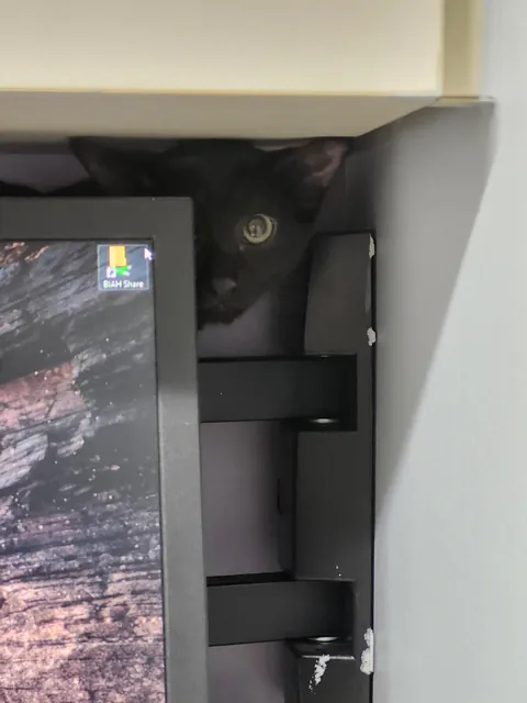 First trip to the vet