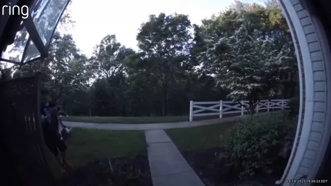 Friendly neighbor returning my cat