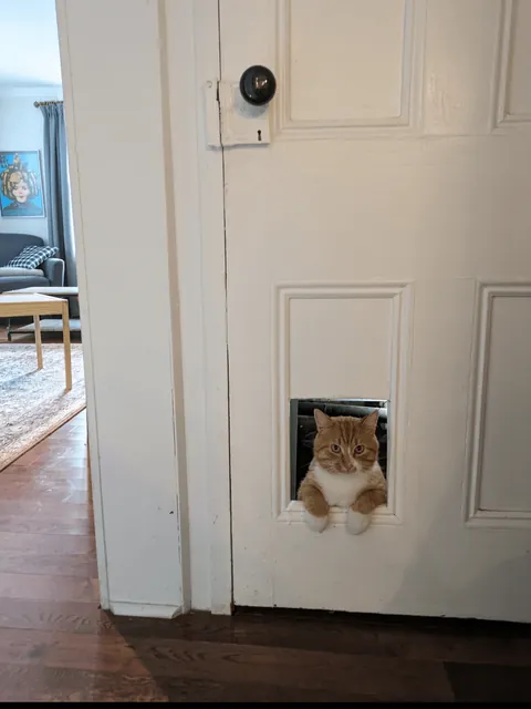 Our little bartender is off duty now, but he gave great service while he was here